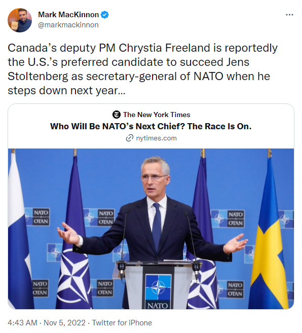 Canada's deputy PM Chrystia Freeland is reportedly the US's preferred candidate to succeed Jens Stoltenberg as secretary-general of NATO