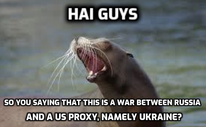 a sea lion saying that this is a war between Russia and a US proxy, namely Ukraine
