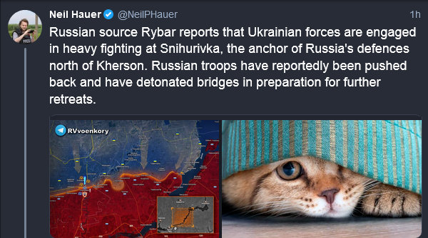 Russian source Rybar reports that Ukrainian forces are engaged in heavy fighting at Snihurivka, the anchor of Russia's defences north of Kherson. Russian troops have reportedly been pushed back and have detonated bridges in preparation for further retreats. Plus a map and a cat.