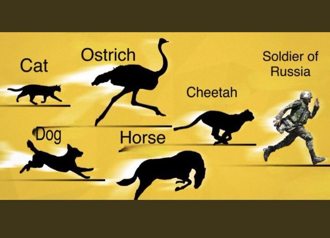 graph of maximum speeds of various animals, Russian Soldier is in front of the cheetah