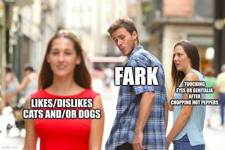 distracted boyfriend Fark looks at likes/dislikes cats and/or dogs instead of touching eyes or genitals after chopping hot peppers