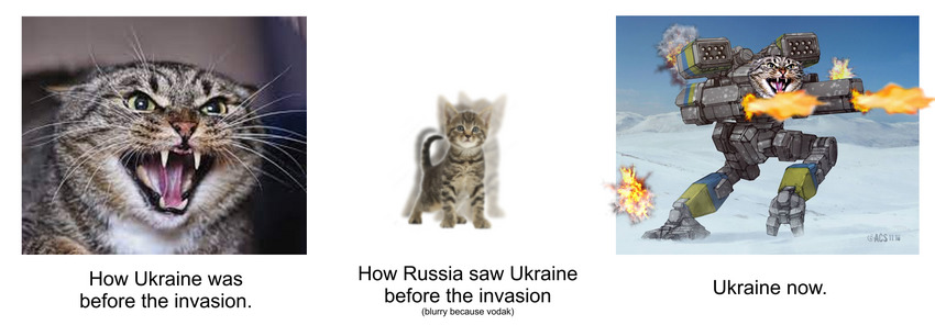 How Ukraine was before the invasion: Angry Cat. How Russia saw Ukraine before the invasion: Tiny Cat. Ukraine now: Angry Cat in mechanized armor.