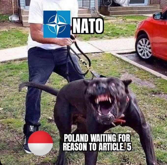 Man (NATO) trying to restrain very aggressive dog (Poland looking for a reason to Article 5 Russia).