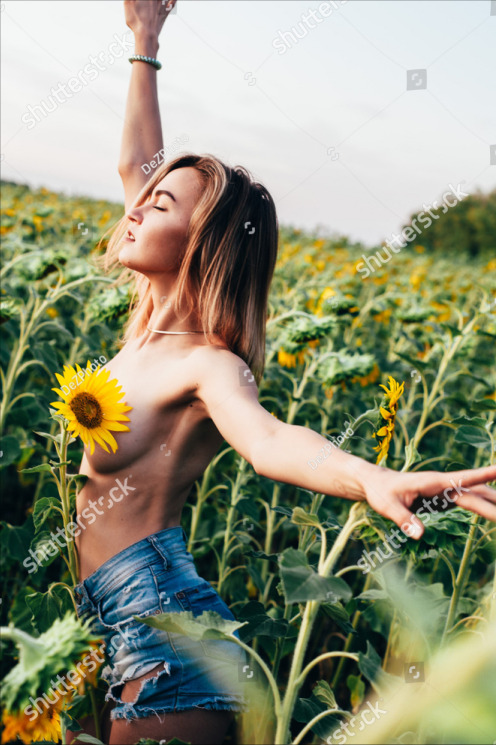 cute woman in field of sunflowers