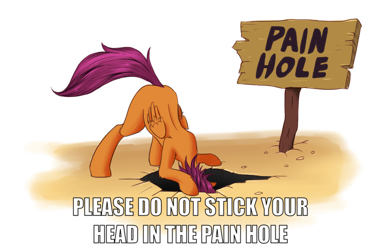 Please do not stick your head in the pain hole, and a pony doing exactly that.