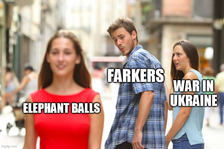 distracted boyfriend Farkers looks at Elephant Balls instead of War in Ukraine.