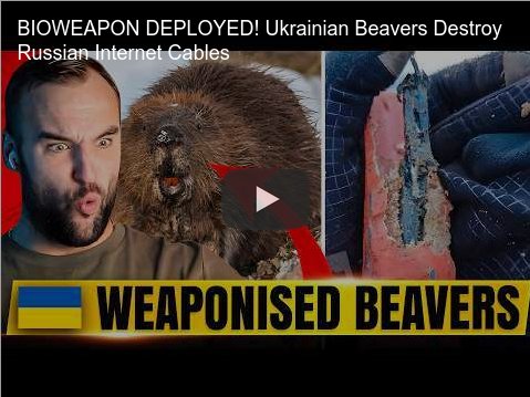 Weaponized beavers.